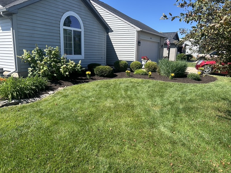 Front yard with newly mulched beds and trimmed shrubs
