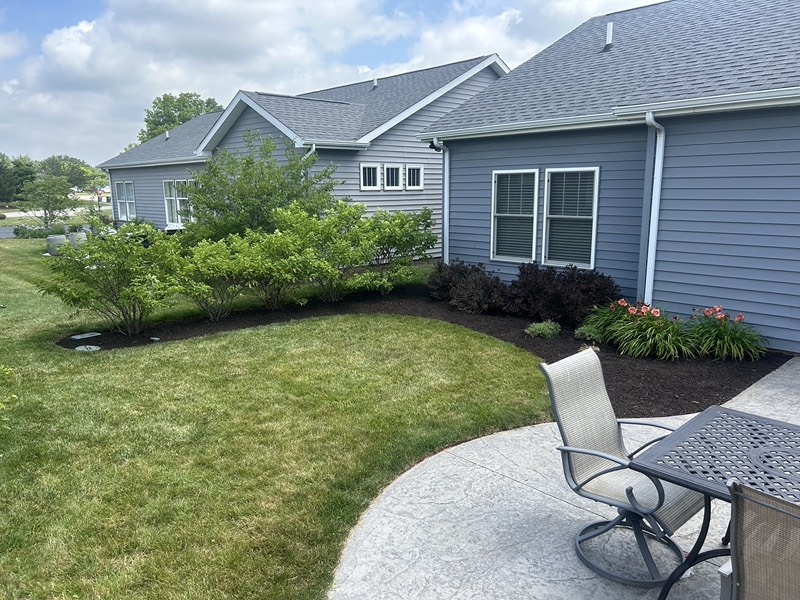 Curved backyard mulch beds with shrubs and daylilies beside a stamped concrete patio